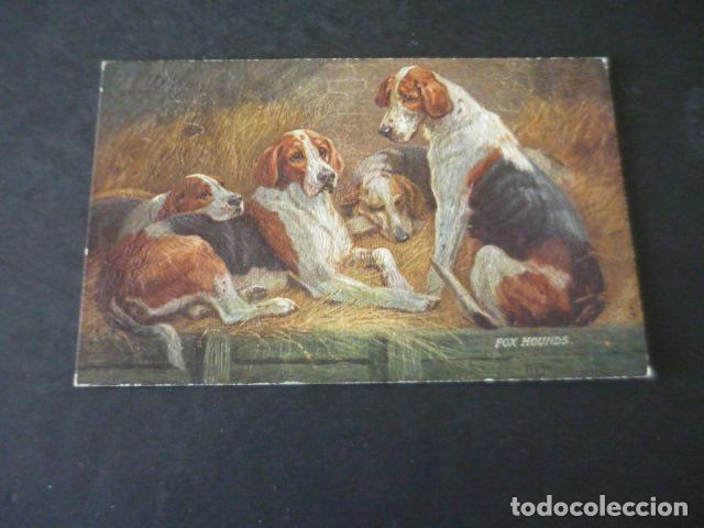 Postales: PERROS POSTAL ANTIGUA