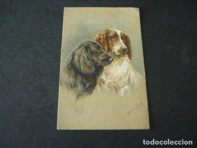 Postales: PERROS POSTAL ANTIGUA