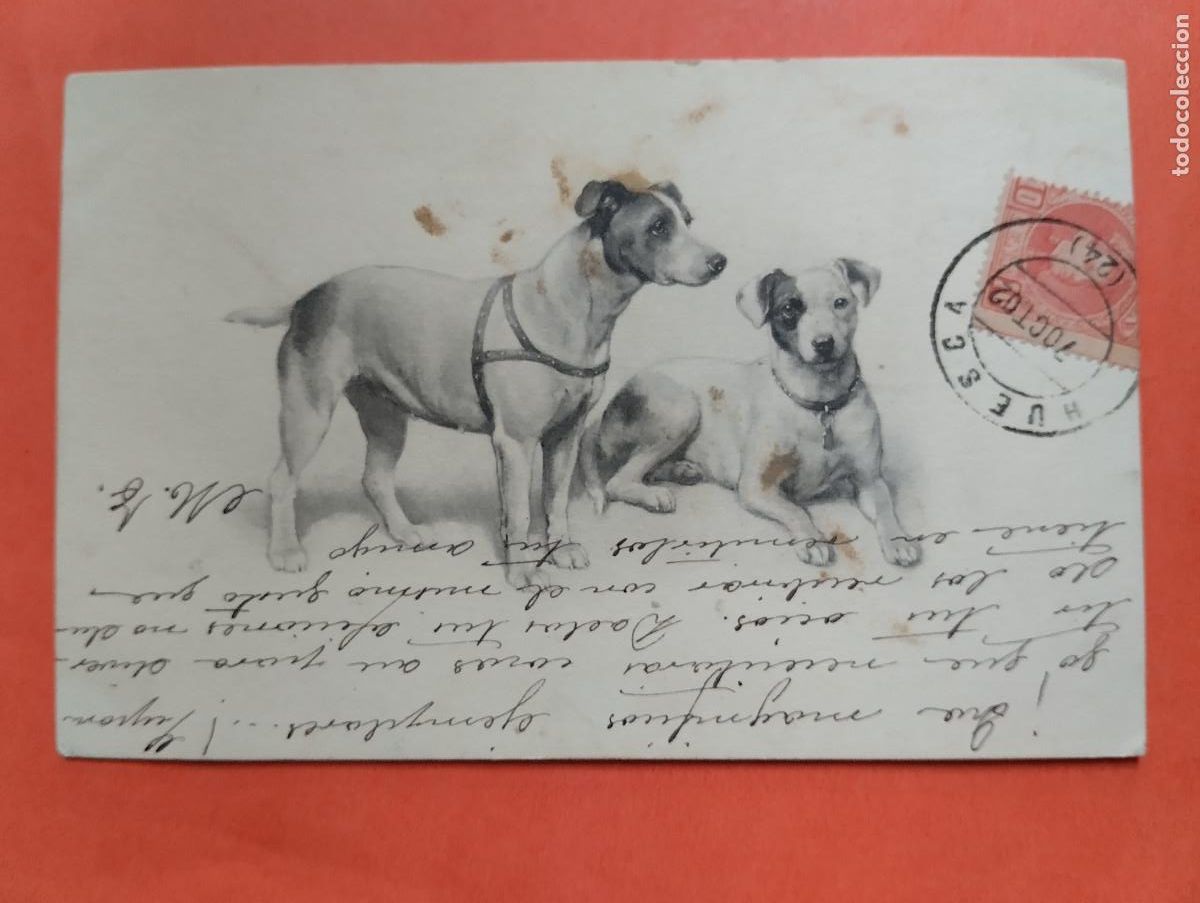 Postales: JHR - POSTAL PERROS.. M. M. VIENNE. AL POETA HUESCA CRISTINO GASOS SAMITIER VER DESCRIPCION
