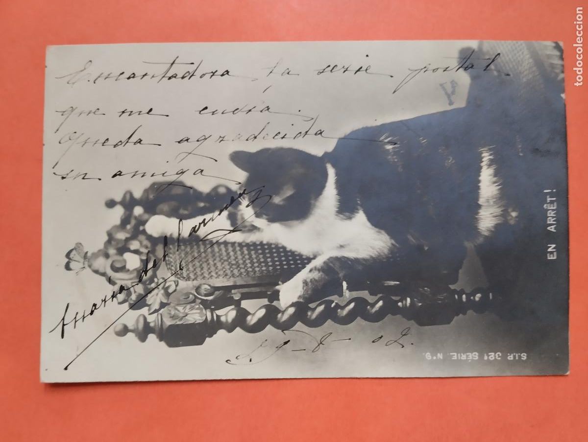 Postales: JHR - POSTAL GATO.. AL POETA HUESCA CRISTINO GASOS SAMITIER VER DESCRIPCION