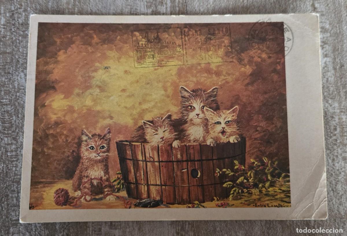 Postales: POSTAL DE ITALIA GATOS - Foto 1