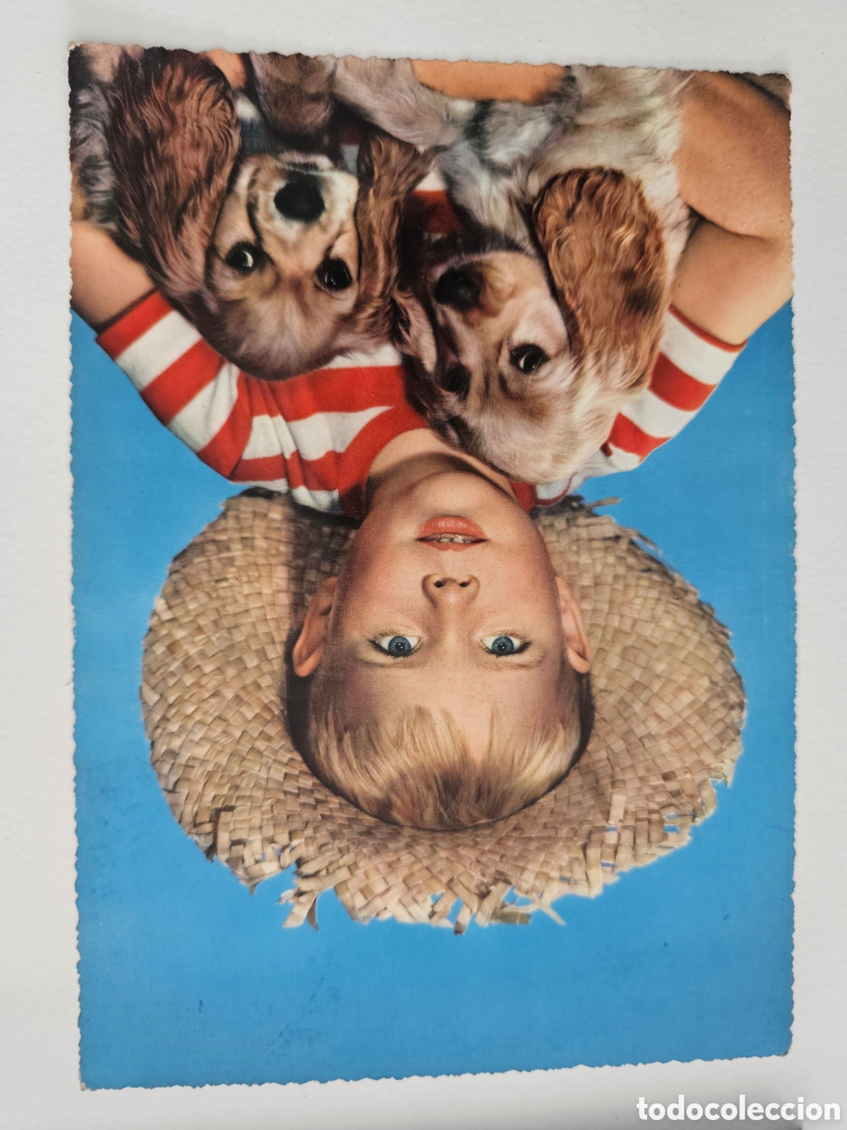Postales: Postal de gran tama&ntilde;o italiana Ni&ntilde;o con perros MPCE Italia Italy