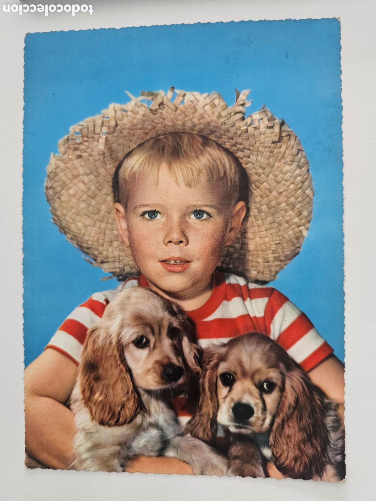 Postales: Postal de gran tama&ntilde;o italiana Ni&ntilde;o con perros MPCE Italia Italy
