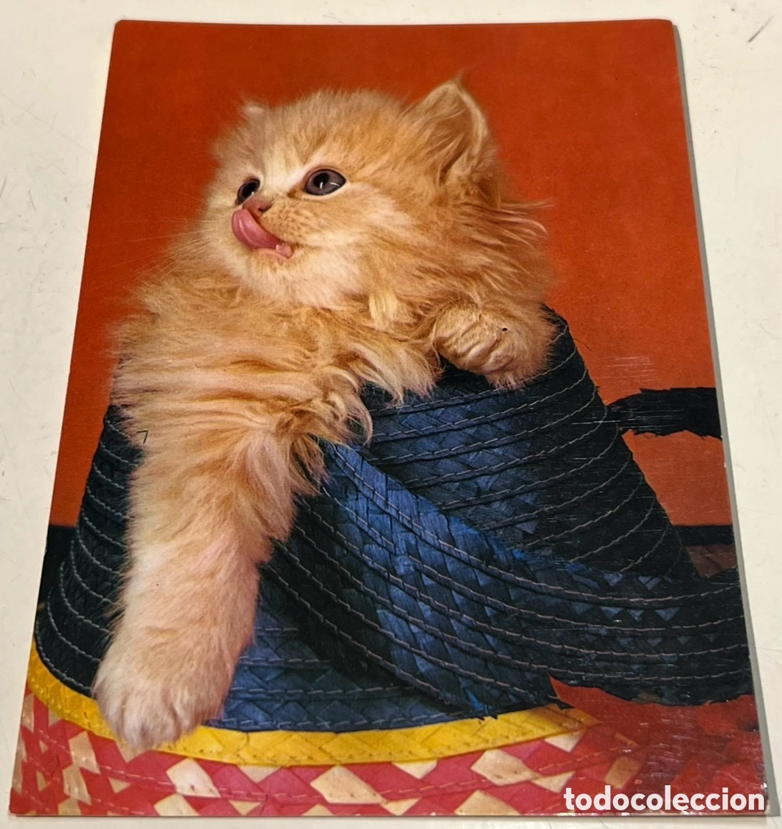 Postales: Postal. Imagen de gatito. SAVIR. A&ntilde;os 70.