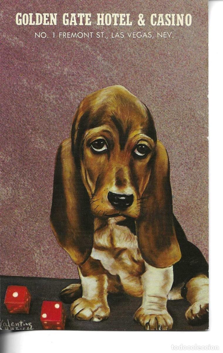 Postales: &rdquo;Perro Golden Gagte & Casino&rdquo; Vintage postal publicitaria Americana. 9 x 14 cms.