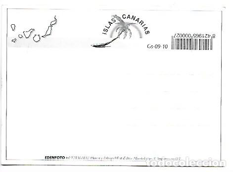 Postales: &rdquo; LOROS &rdquo;.- ISLAS CANARIAS - Foto 2