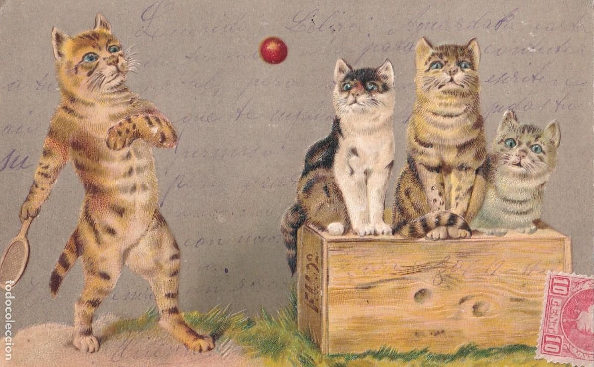 Postales: Postal ilustrada. Gatos jugando al tenis. Reverso sin dividir Circulada. Con relieve.