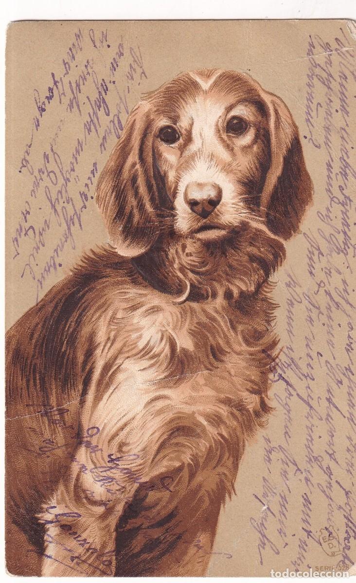 Postales: Postal ilustrada. Perro. Reverso sin dividir Circulada. Con relieve.