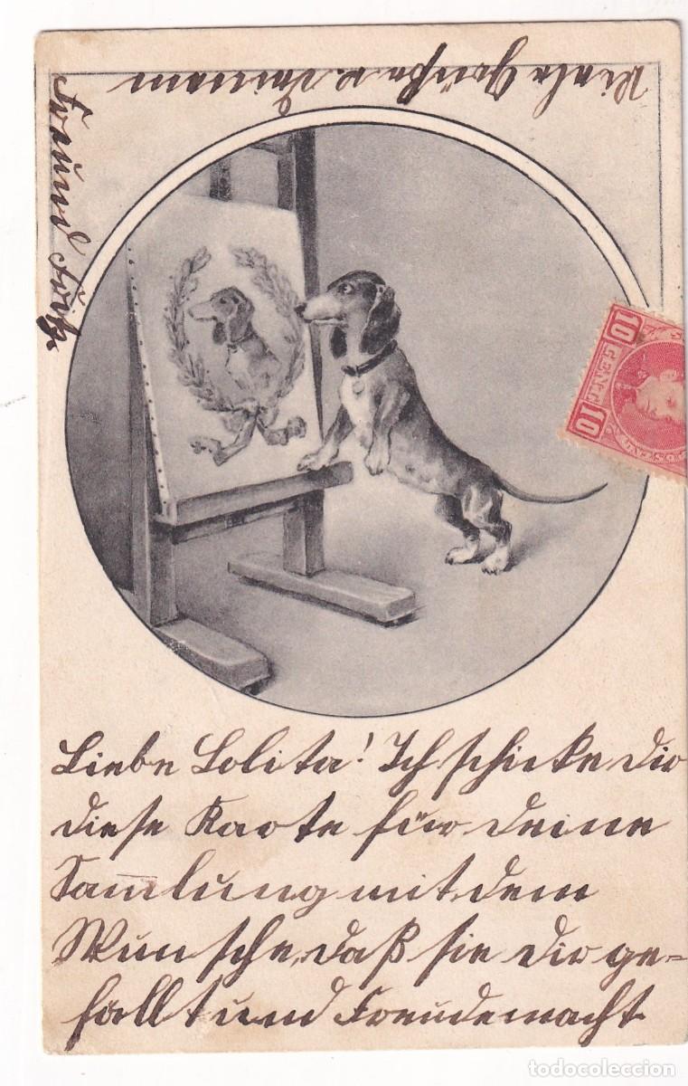 Postales: Postal ilustrada. Perro salchicha. Reverso sin dividir Circulada.