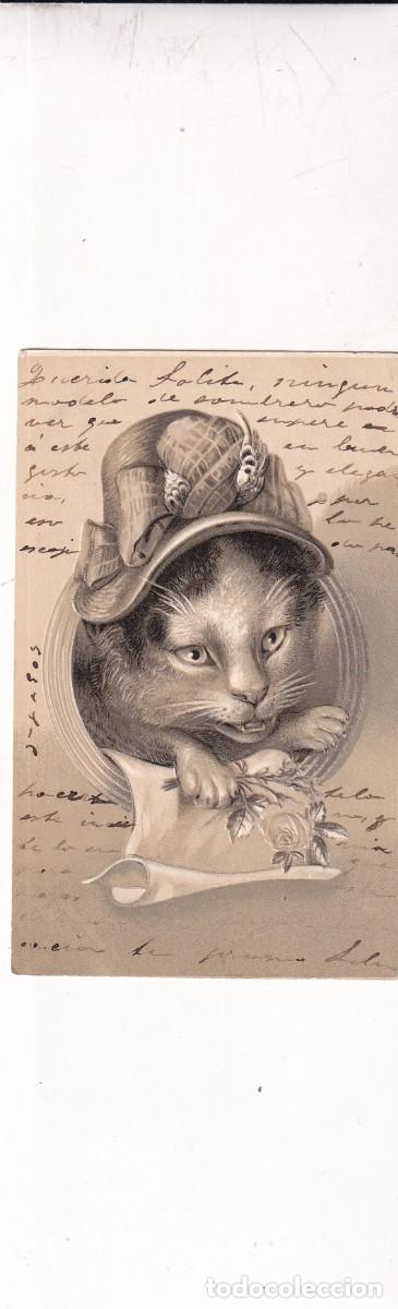 Postales: Postal ilustrada cara de gato. Relieve. Reverso sin dividir. Sin circular.