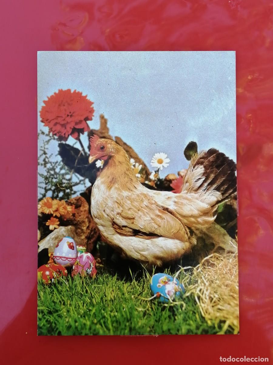 Postales: POSTAL 18848 SIN USO-PAGSA PERLA 291/2 -GALLINA HUEVOS DE PASCUA FAUNA
