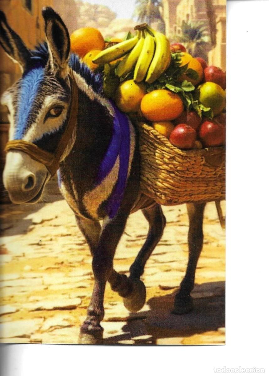 Postales: &rdquo;Burro con carga de frutas&rdquo; Moderna foto postal. 10 x 15 cms. Hecha en China