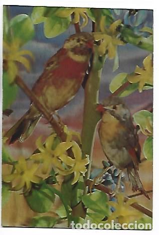 Postales: ( HOLOGRAMA ).- PAREJA DE PAJAROS POSADOS EN ARBOL