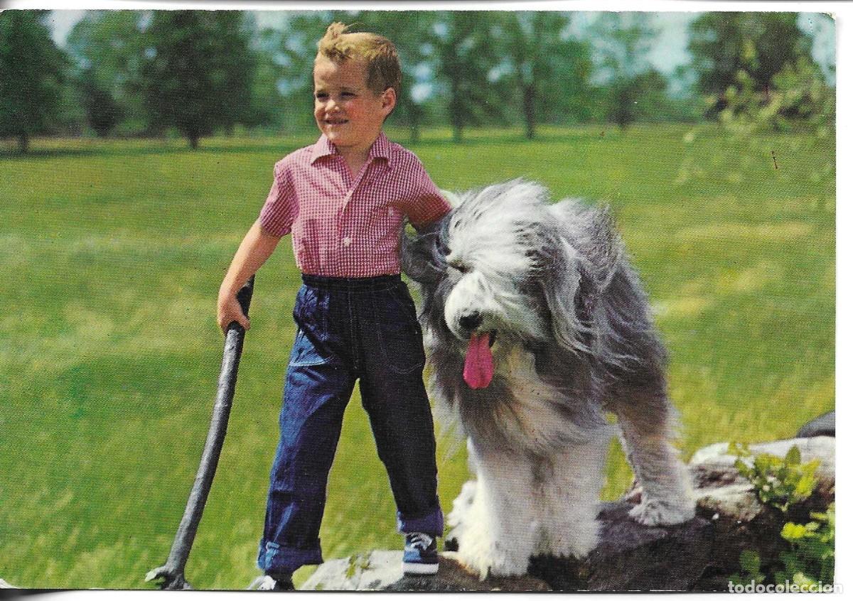 Cartoline: &rdquo;Ni&ntilde;o con su perro&rdquo; Moderna posta en color. 1970s. 10 x 15 cm. Edit CyZ.No circulada