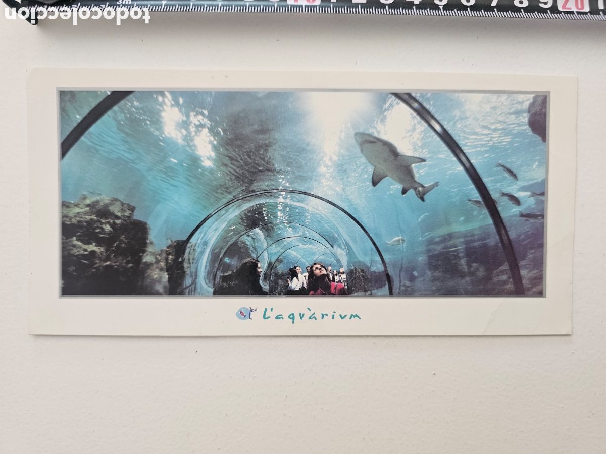 Postkarten: Postal grande del Oceanarium Aquarium de Barcelona 3902 Pere Vivas Juanjo Puente