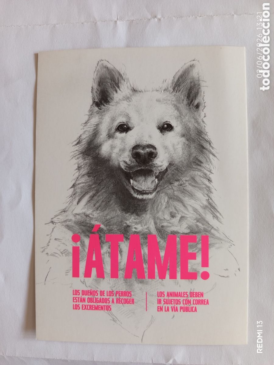 Postales: &Aacute;TAME. OVIEDO. SUE&Ntilde;OS DE PERROS