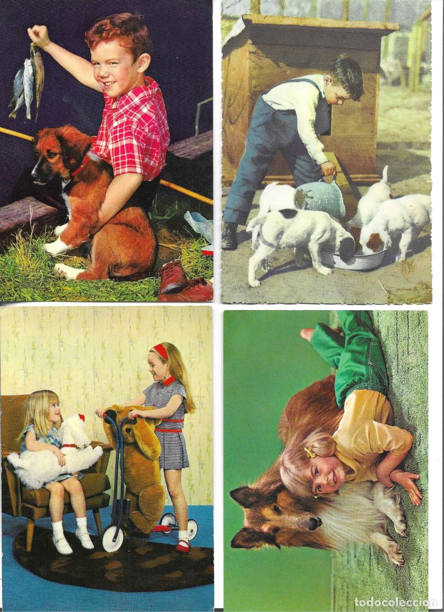 Postales: Cuatro postales fotogr&aacute;ficas de ni&ntilde;os con sus perros. 1970s. 50 x 70 cms.