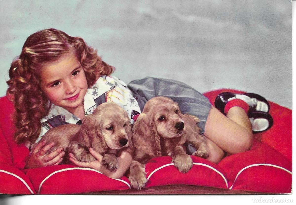 Postales: Jovencita consus dos cachorros.Postal forogr&aacute;fica CyZ. 1960s.