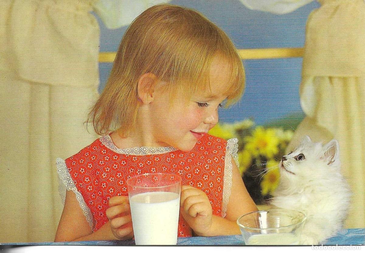 Postales: Postal de ni&ntilde;a con su perrito, fotogr&agrave;fica, 1970s. CyZ
