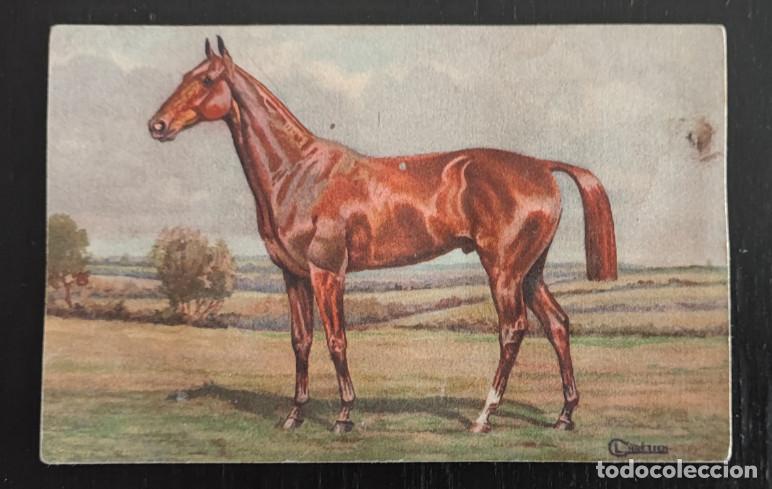 Postales: ANTIGUA POSTAL SUIZA, CABALLO, 1&ordf;