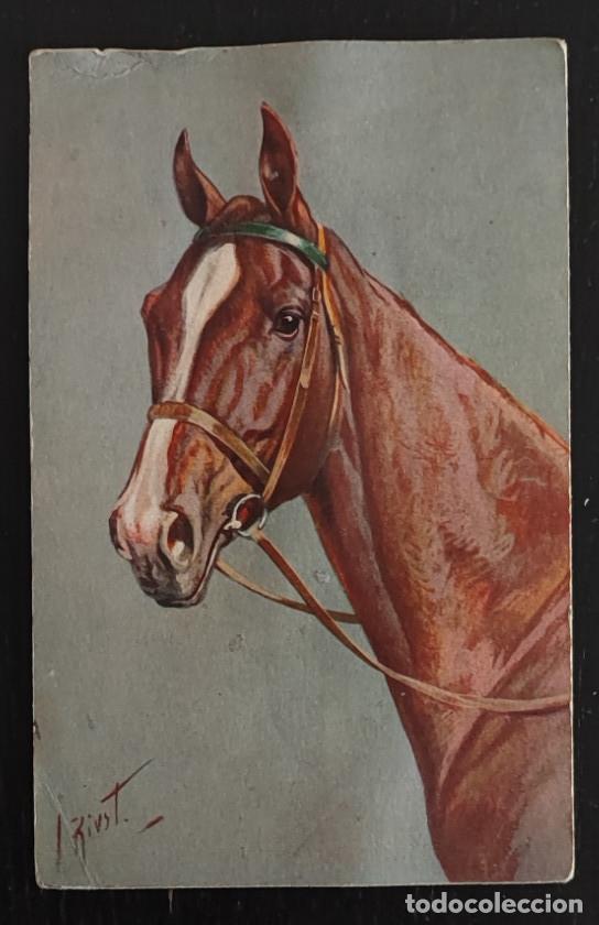Postales: ANTIGUA POSTAL SUIZA, CABALLO, 2&ordf;