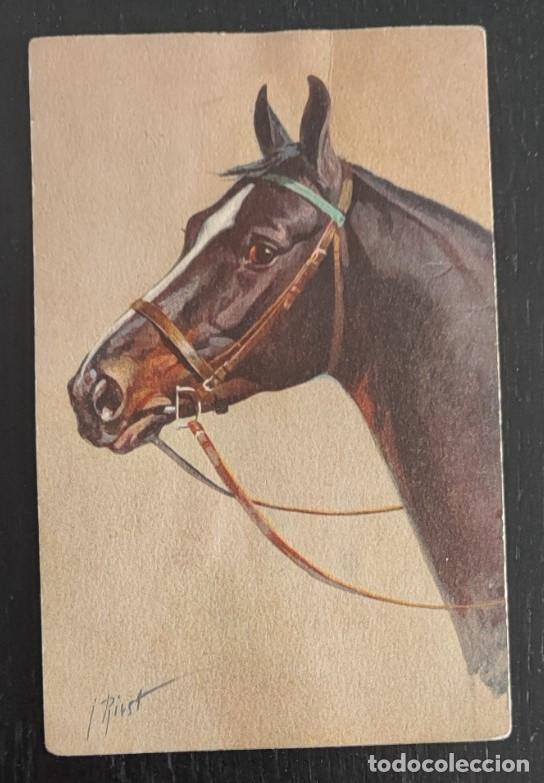 Postales: ANTIGUA POSTAL SUIZA, CABALLO, 3&ordf;