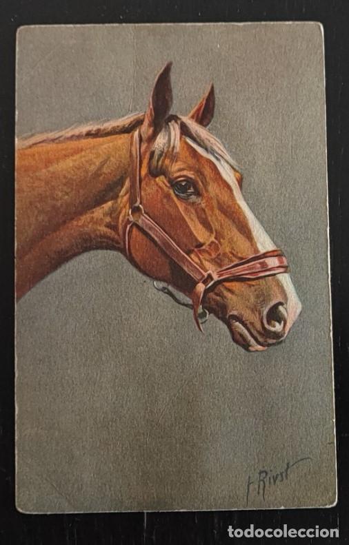 Postales: ANTIGUA POSTAL SUIZA, CABALLO, 4&ordf;