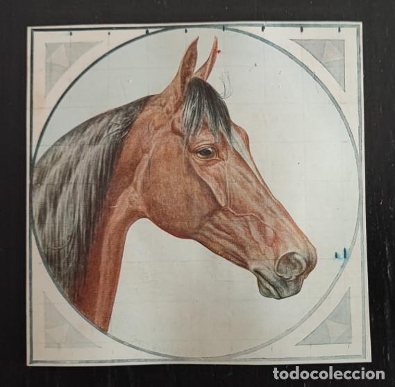 Postales: ANTIGUA POSTAL RECORTADA, CABALLO, 1&ordf;