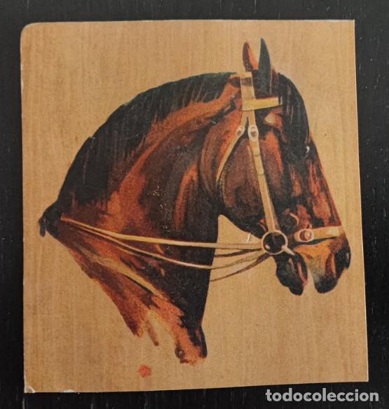 Postales: ANTIGUA POSTAL RECORTADA, CABALLO, 2&ordf;