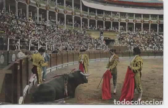 Postales: TOROS TOREROS SIN ESCRIBIR