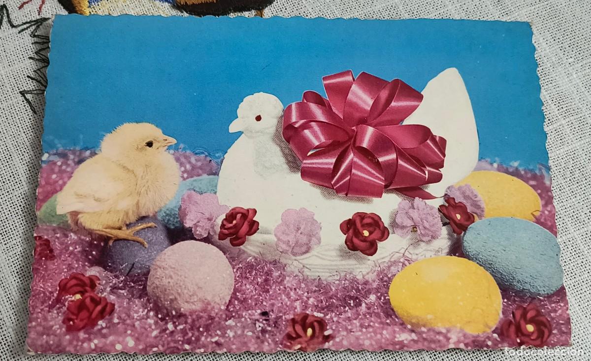 Postales: POSTAL | POLLITO - CYZ 6336