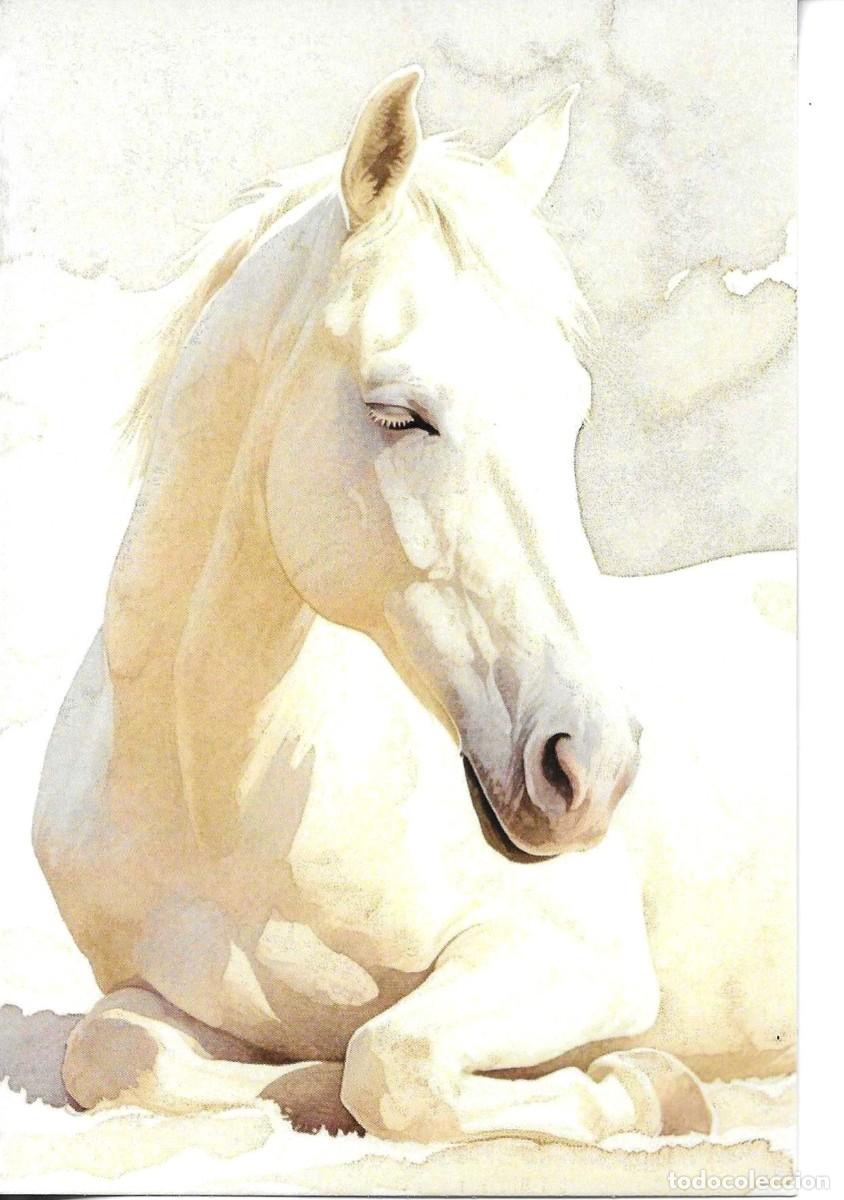 Postales: Cabeza de caballo. Moderna postal ilustrada. 10 x 15 cms. Hecha en China
