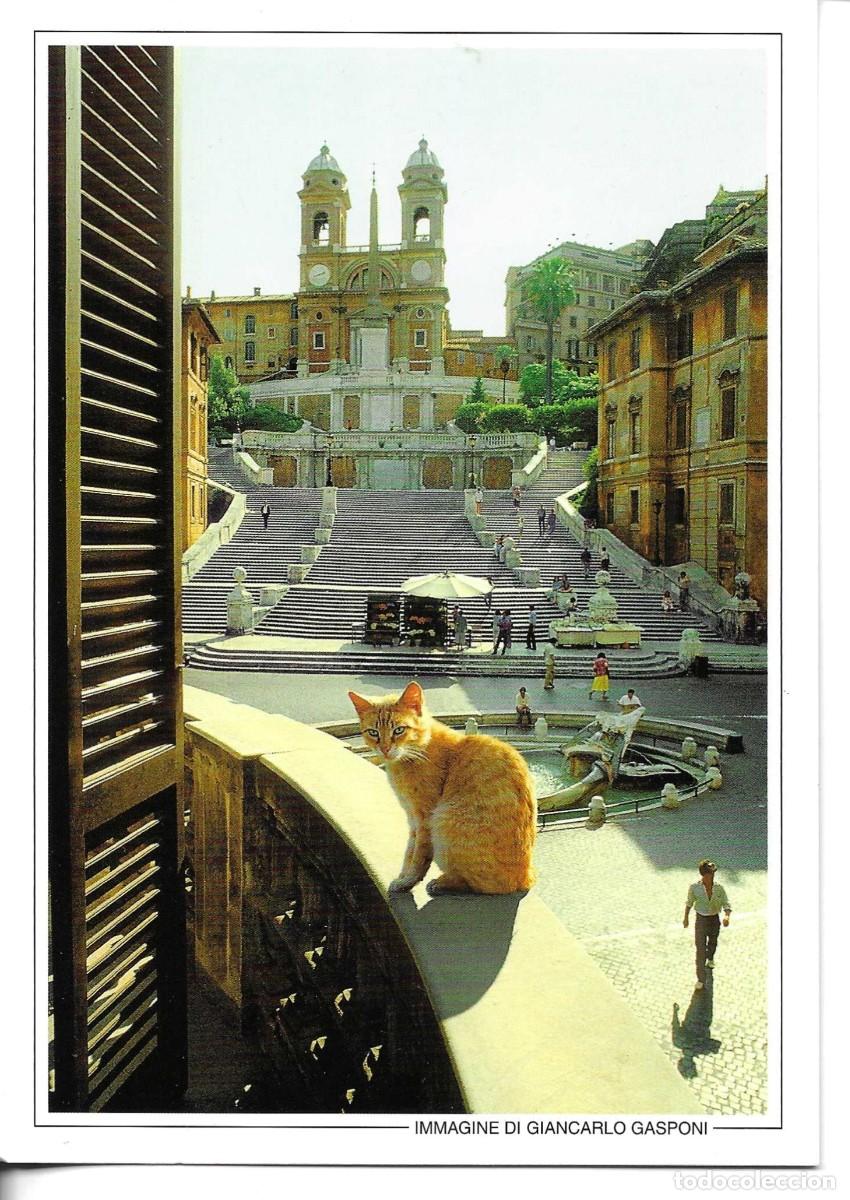 Postales: Gato en Escalinata de Espa&ntilde;a. Roma. Moderna postal fotogr&aacute;fica Italiana. 12 x 20 cms.