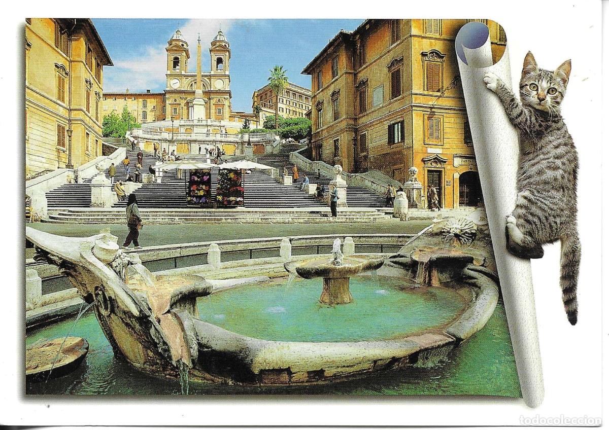 Postales: Gato en Escalinata de Espa&ntilde;a. Roma. Moderna postal fotogr&aacute;fica Italiana. 12 x 20 cms.