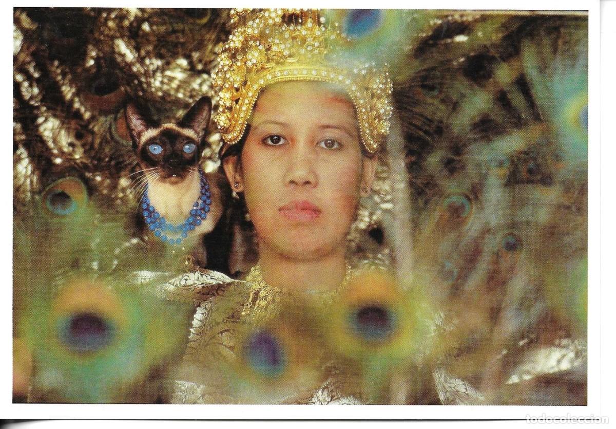 Postales: Damas y sus gatos. Lote de 3 postales fotogr&aacute;ficas Alemanas. Edit. Taschen. Foto Tobert Vavra