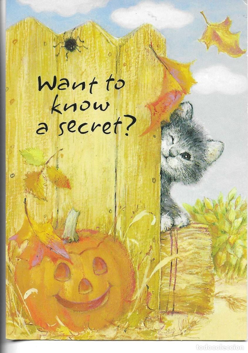 Postales: Gato Haloween. Moderna postal Americana, Hallmark H 111-1. Tama&ntilde;o 11 x 15 cms.