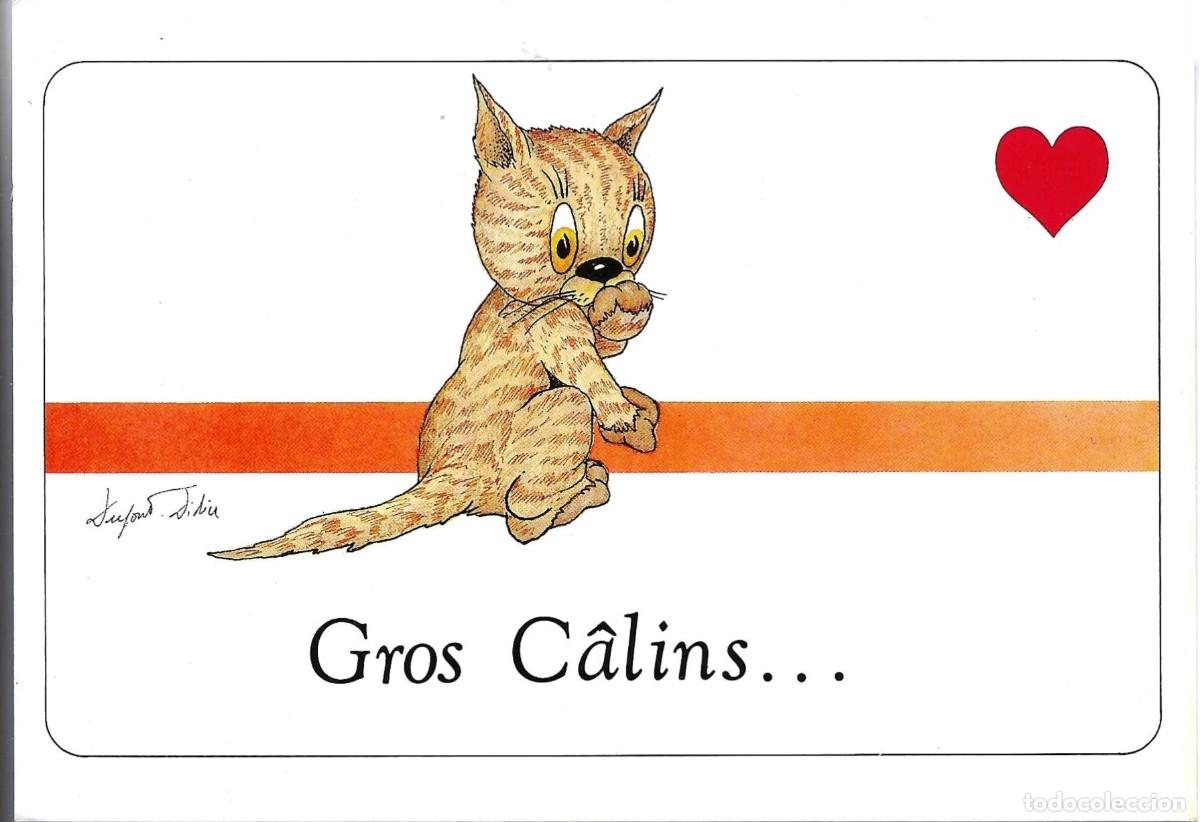 Postales: Gato Gros Calins.... Moderna postal humoristica Francesa. Firmada. 10,5 x 15 cms.