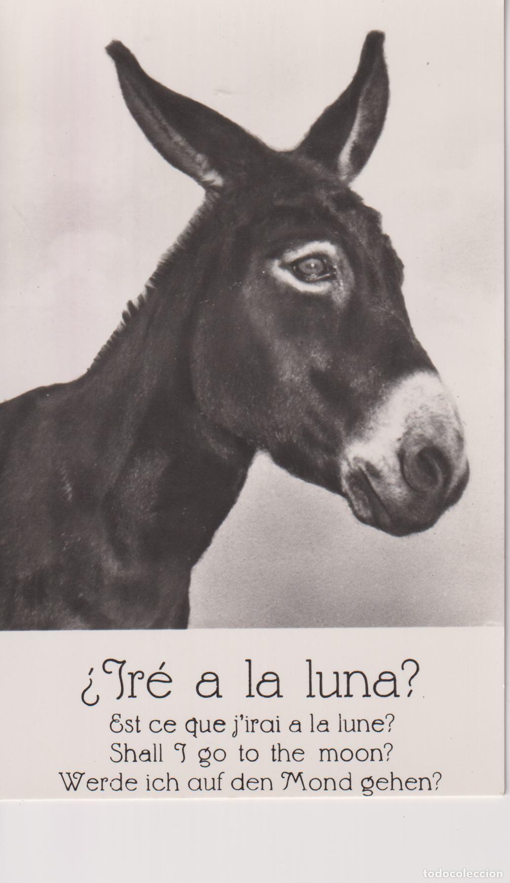 Postales: &iquest;IR&Eacute; A LA LUNA? - EST CE QUE J'IRAU A LA LUNE? - DIST.MUNDI N&ordm;8 - S/C