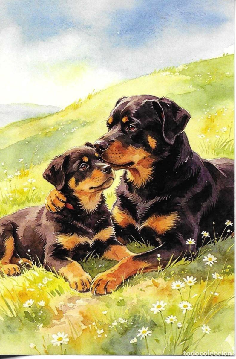 Postales: Perra con su cachorro. Moderna postal. 10,5 x 15 cms. Hecha en Dhina
