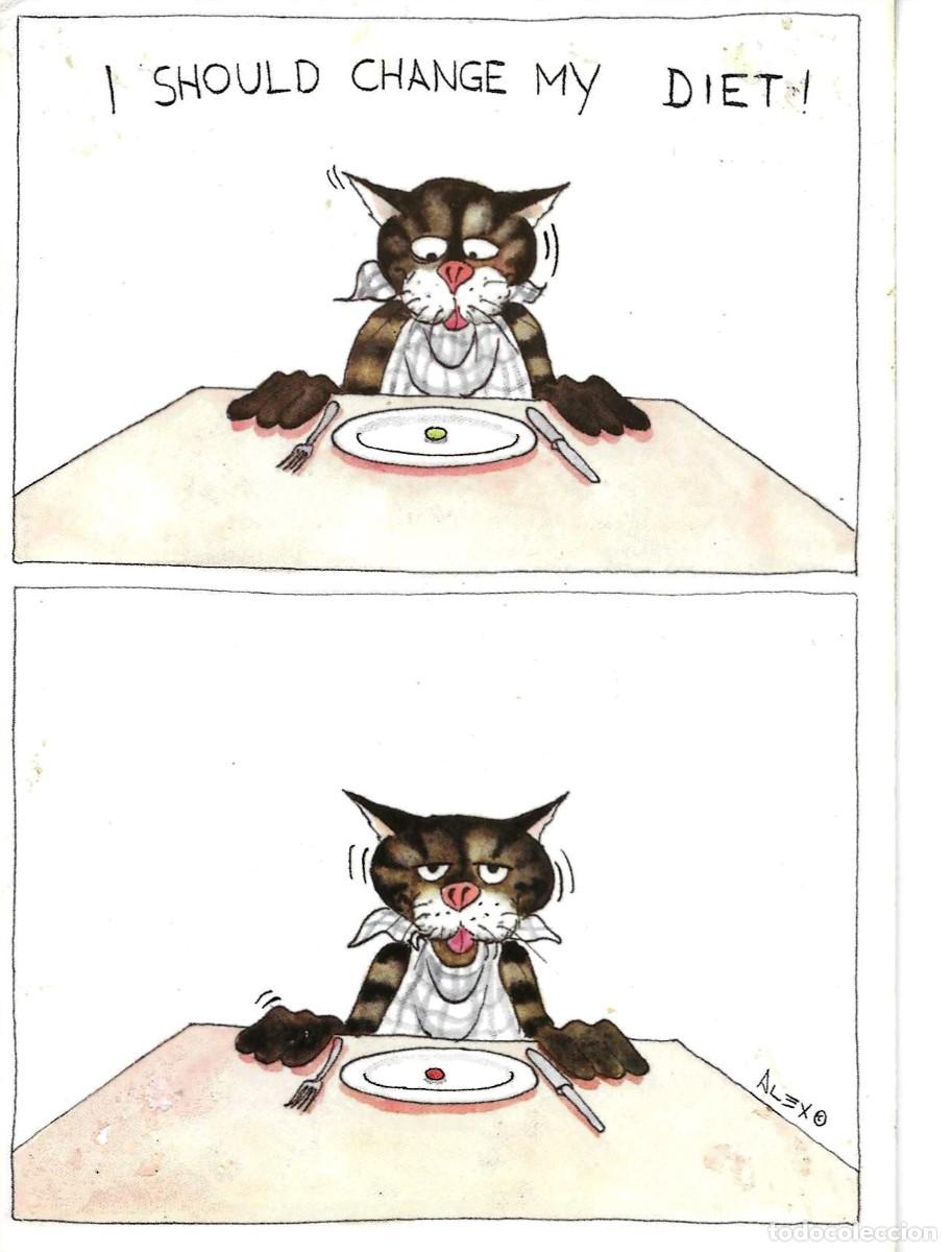 Postales: Gato c&oacute;mico. !I sgould change my dieth!, Postal ilustrada por Alex. 10,5 x 15 cms.