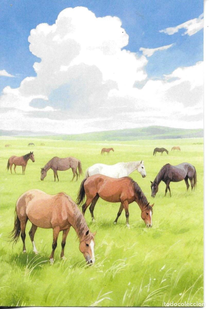 Postales: Caballos pastando en el campo. Moderna postal ilustrada. 10 x 15 cms.Hecha en China