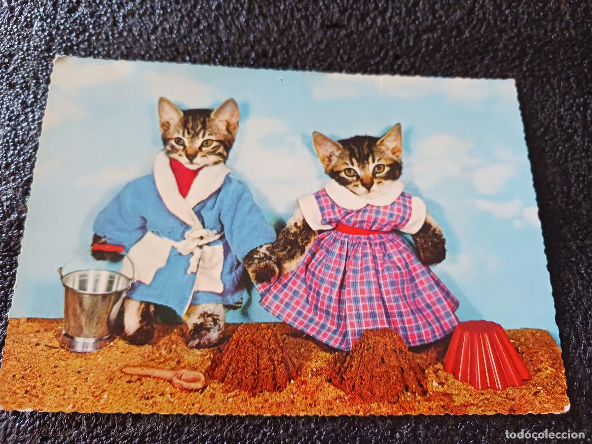 Postales: gatitos customizados, kruger 900/40
