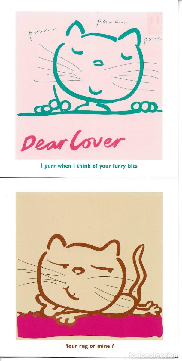 Postales: &rdquo;Berriff the Cat&rdquo; 5 tarjetas de felicitaci&oacute;n Inglesas,dobles . 13 x 13 cms. con sobres para env&iacute;o