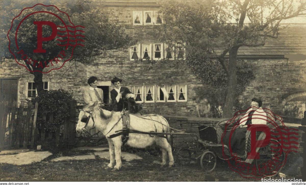 Postales: RPPC TRANSPORT TRANSPORTE BURROS DONKEYS &Acirc;NES ANIMALES ANIMALS LEX ANIMAUX