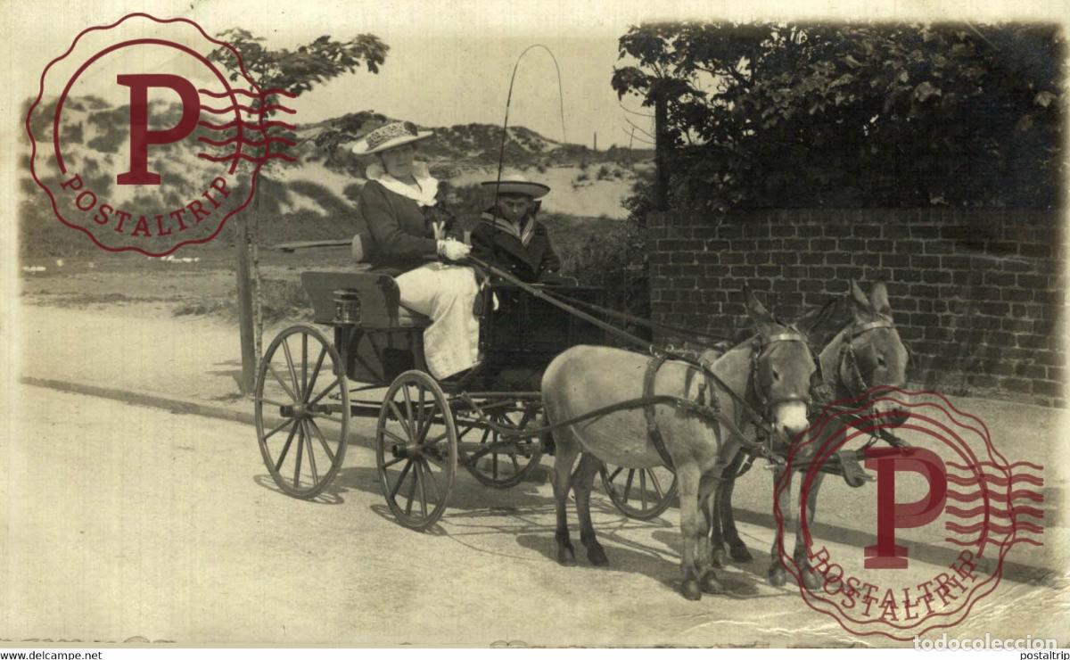 Postales: RPPC TRANSPORT TRANSPORTE BURROS DONKEYS &Acirc;NES ANIMALES ANIMALS LEX ANIMAUX