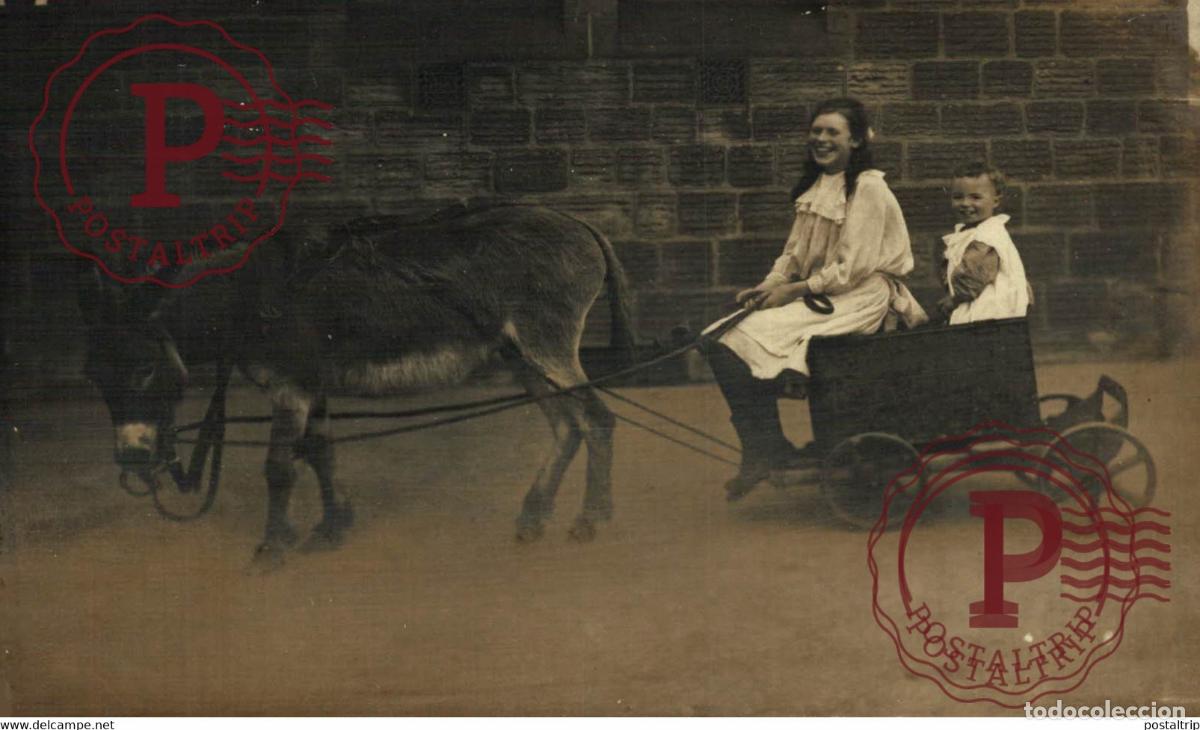 Postales: RPPC TRANSPORT TRANSPORTE BURROS DONKEYS &Acirc;NES ANIMALES ANIMALS LEX ANIMAUX