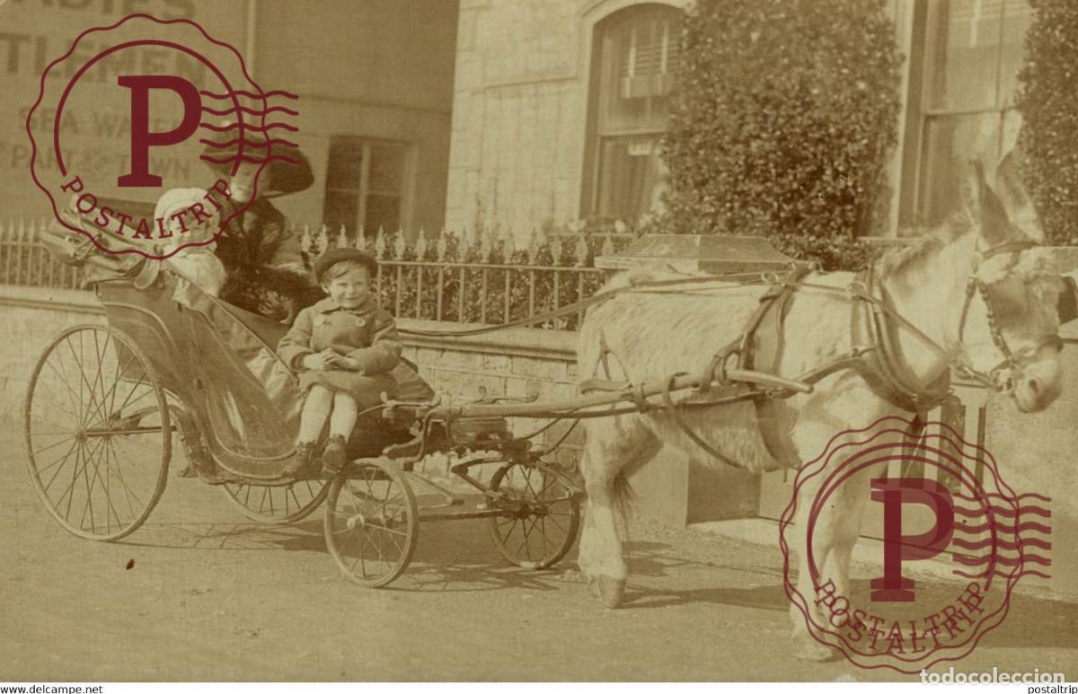 Postales: RPPC TRANSPORT TRANSPORTE BURROS DONKEYS &Acirc;NES ANIMALES ANIMALS LEX ANIMAUX