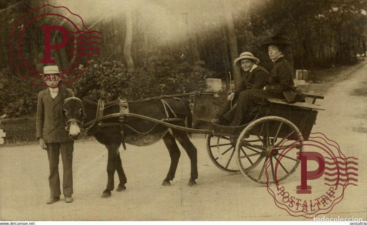 Postales: RPPC TRANSPORT TRANSPORTE BURROS DONKEYS &Acirc;NES ANIMALES ANIMALS LEX ANIMAUX