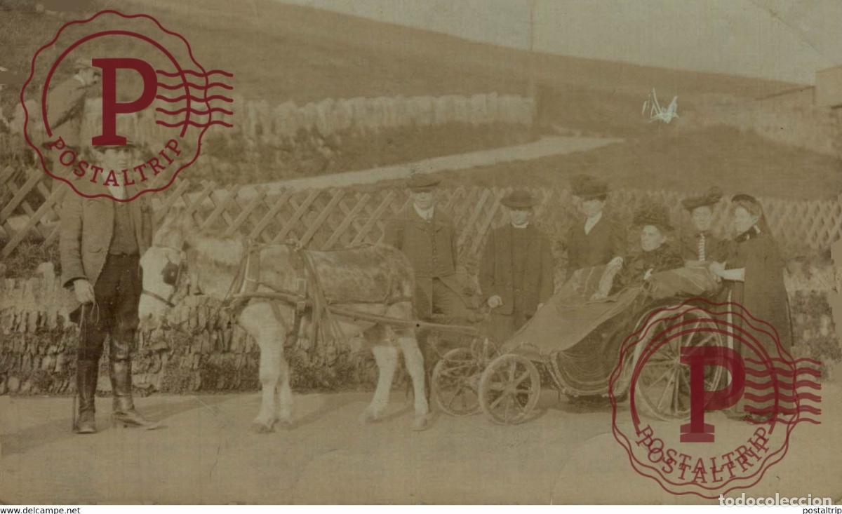 Postales: RPPC TRANSPORT TRANSPORTE BURROS DONKEYS &Acirc;NES ANIMALES ANIMALS LEX ANIMAUX