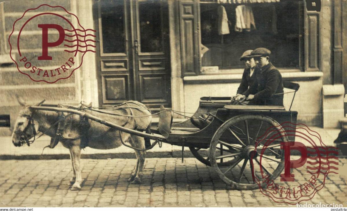 Postales: RPPC TRANSPORT TRANSPORTE BURROS DONKEYS &Acirc;NES ANIMALES ANIMALS LEX ANIMAUX